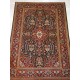 THERAN cm.212x139
